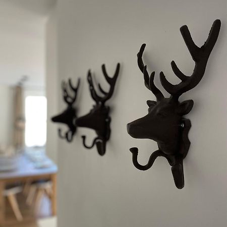 Haigis Lodge Annaberg im Lammertal Kültér fotó